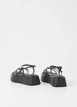 COURTNEY SANDALEN