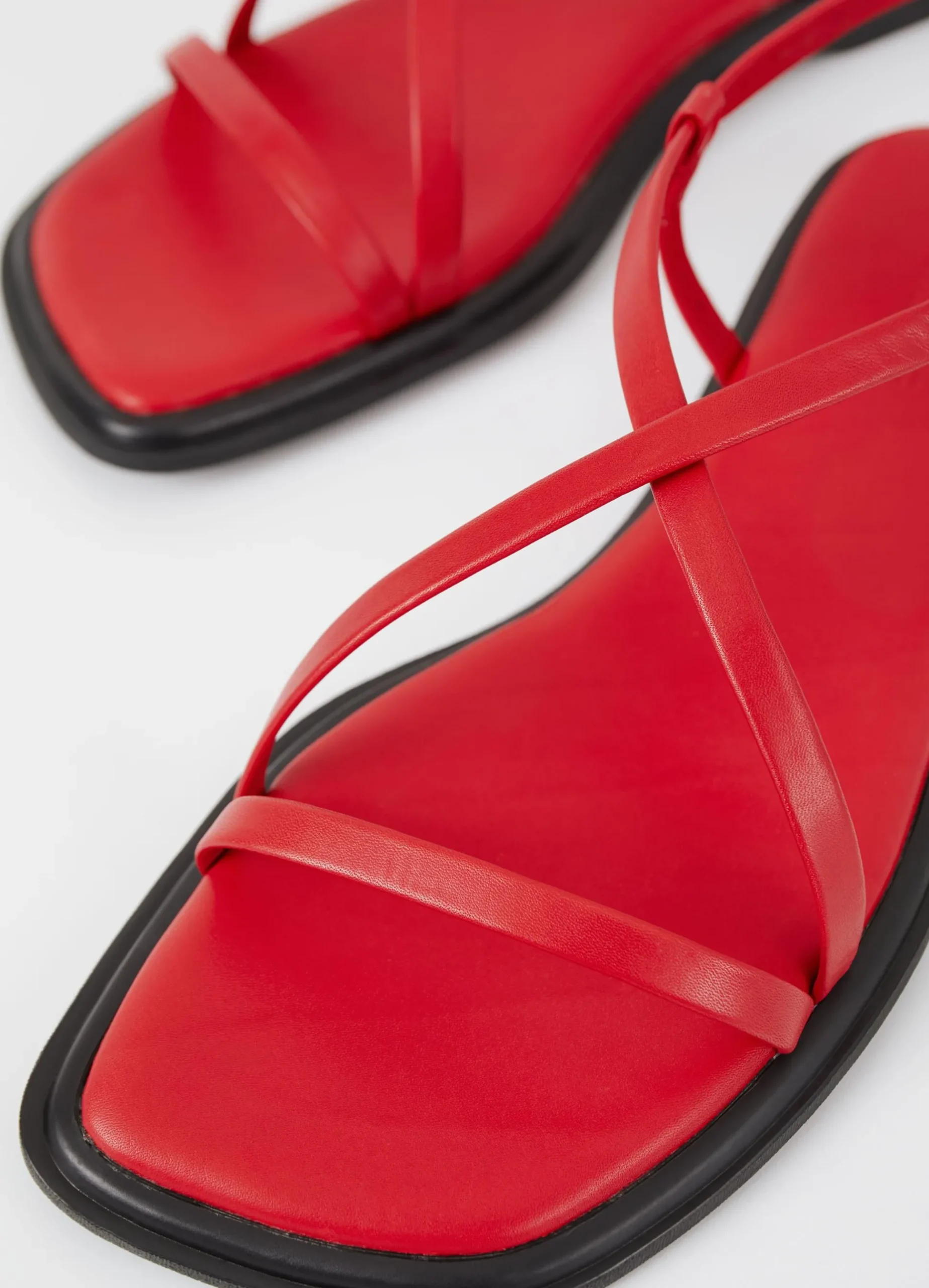 IZZY SANDALEN
